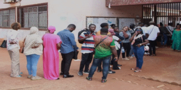 Bourse académique : l’Université de Yaoundé II récompense l’excellence